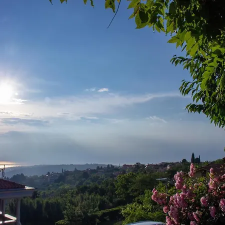 Seaview Heights Above Portoroz *
